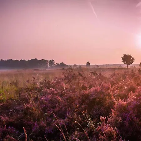 Hébergement de vacances Calming Hideaway In Veluwe, Cleaning Included Voorthuizen