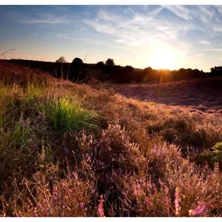 Calming Hideaway In Veluwe, Cleaning Included * Voorthuizen