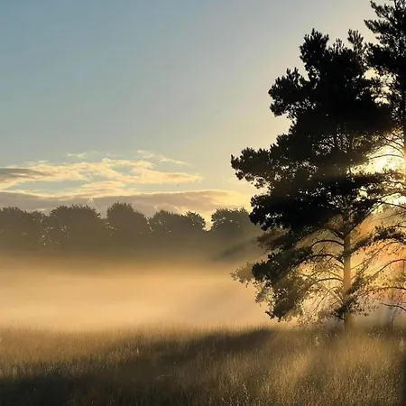 Calming Hideaway In Veluwe, Cleaning Included Hébergement de vacances *