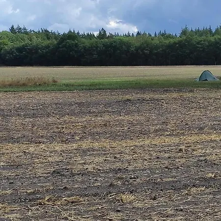 Calming Hideaway In Veluwe, Cleaning Included Hébergement de vacances Voorthuizen