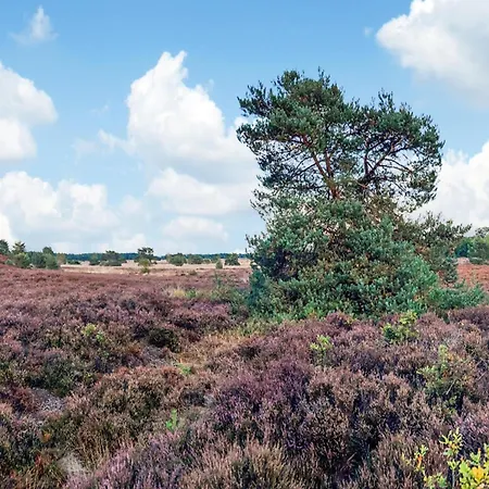 Calming Hideaway In Veluwe, Cleaning Included Hébergement de vacances