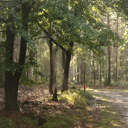 Calming Hideaway In Veluwe, Cleaning Included Hébergement de vacances Voorthuizen