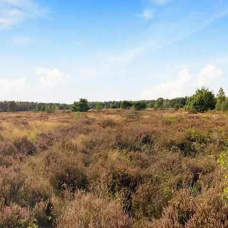 Calming Hideaway In Veluwe, Cleaning Included Hébergement de vacances Voorthuizen